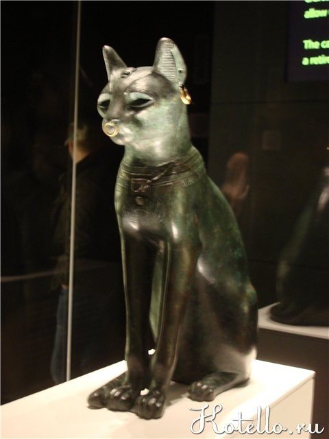 В древнем Египте кошек боготворили