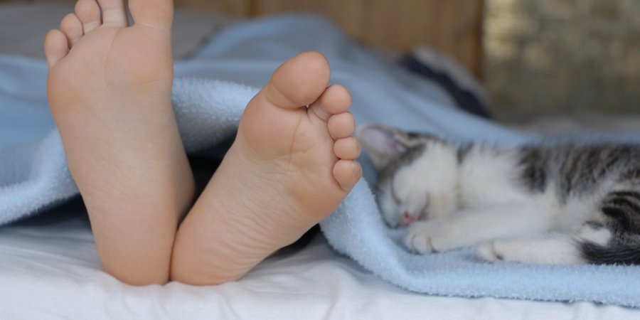 Кошки любят спать рядом с хозяином, с ним уютно и спокойно