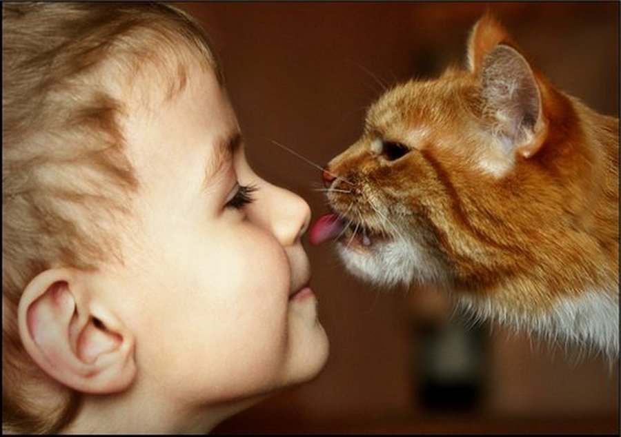 Кошка прививает любовь ваших детей к окружающему миру