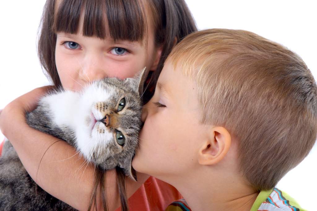 Кошки и дети: как питомцы проявляют свою любовь?