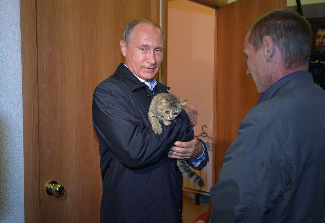 Путин и кошка Мурка.
