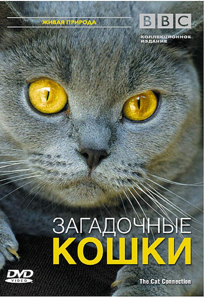 BBC: Загадочные кошки (The Cat Connection), 2002.