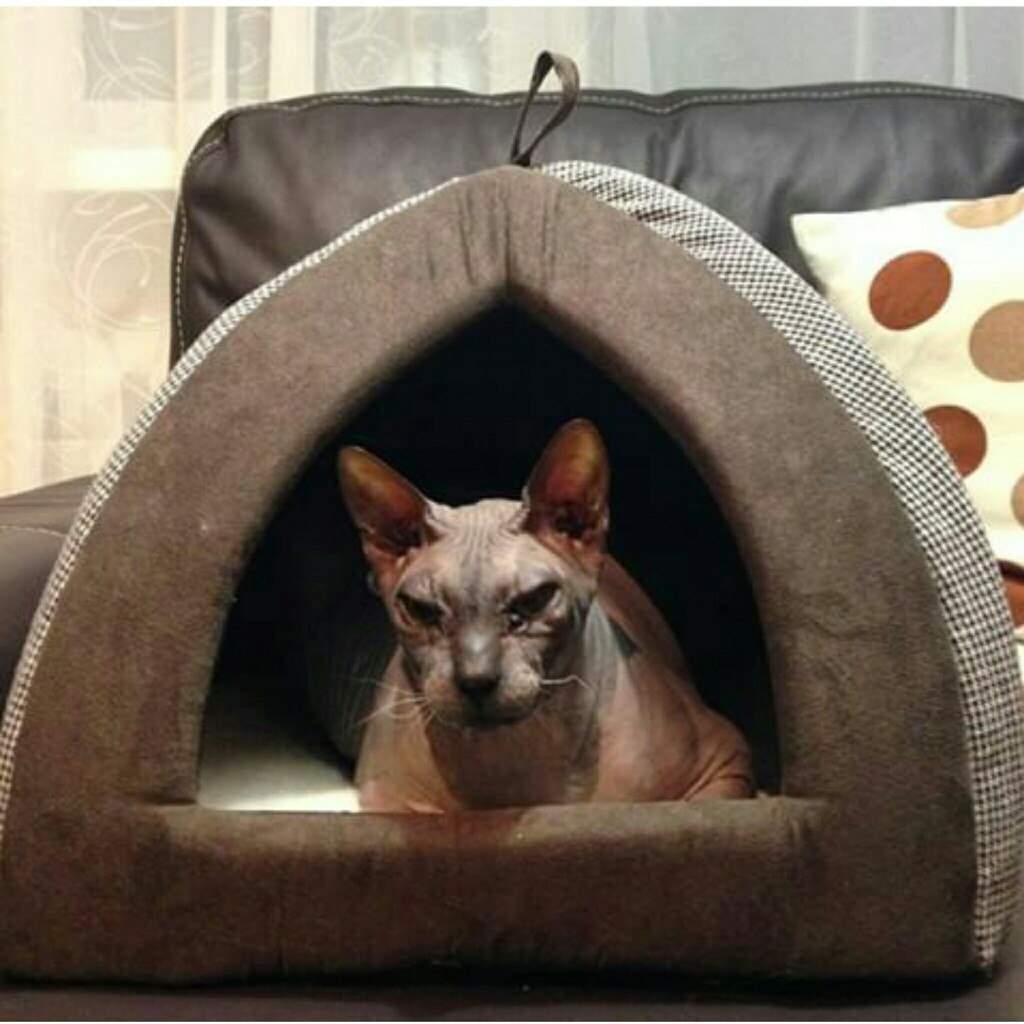 Теплый домик для кошки.