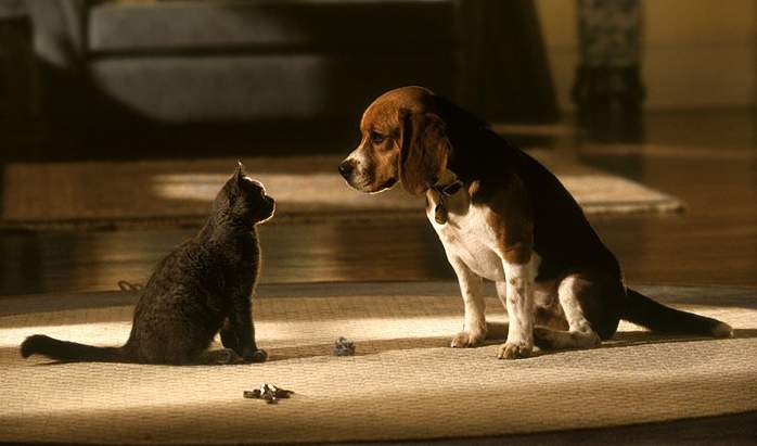 Кошки против собак (Cats & Dogs). Кадры из фильма.