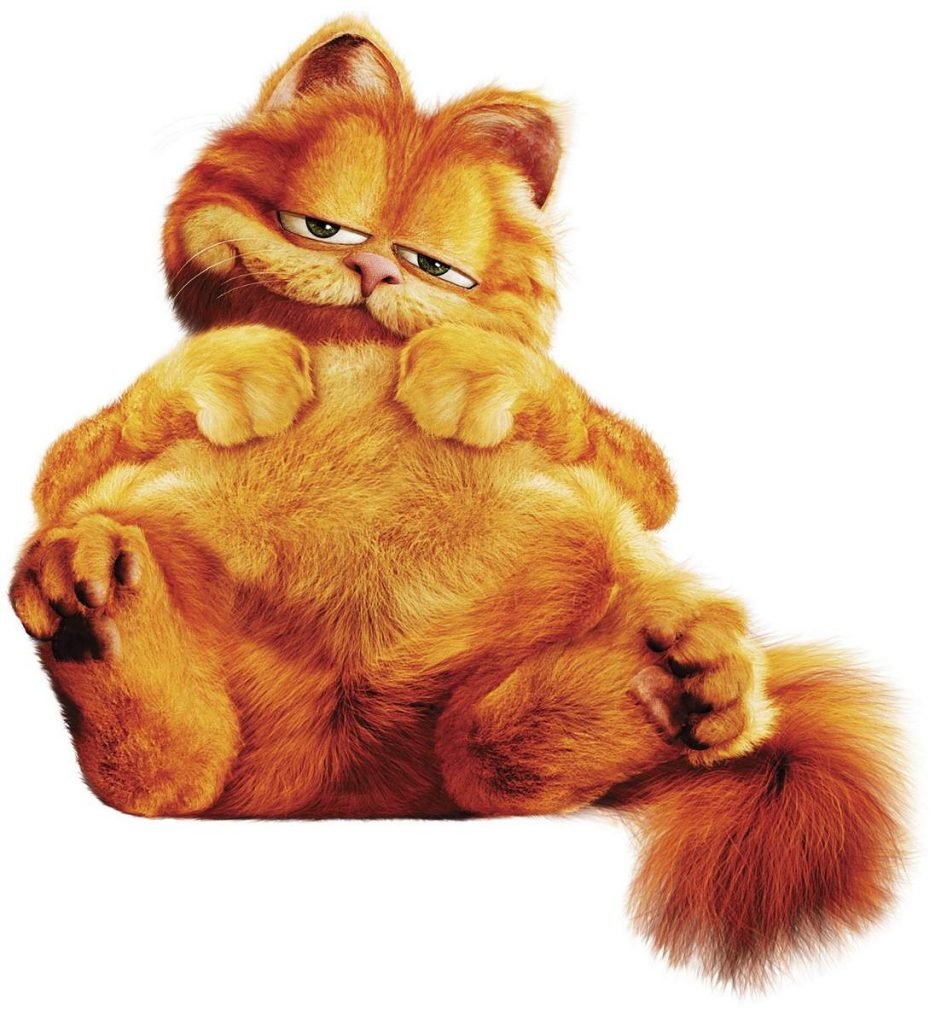 Гарфилд – жирный и ленивый рыжий кот, который считает, что весь мир крутится вокруг него.