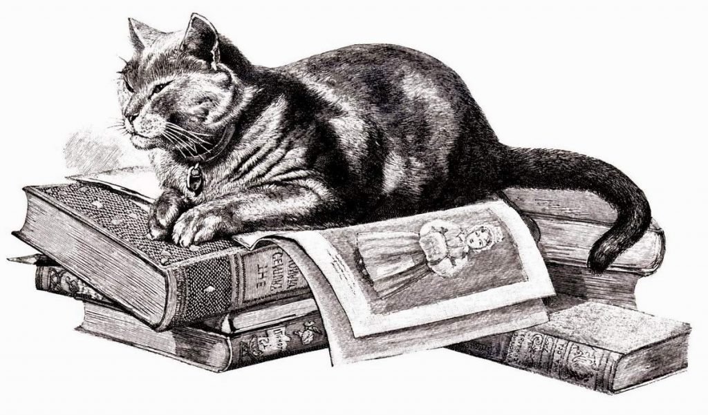 Пожалуй, самым знаменитым котом Ришелье был черный кот Люцифер.