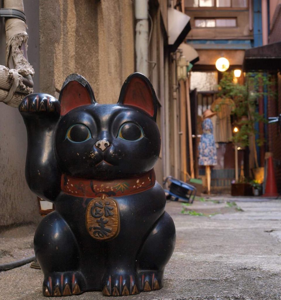 Манэки-нэко – японский кот, приносящий удачу и процветание.