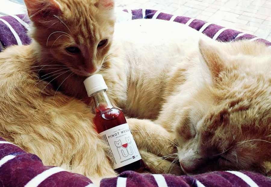 Американские кошки теперь тоже могут выпить вина.