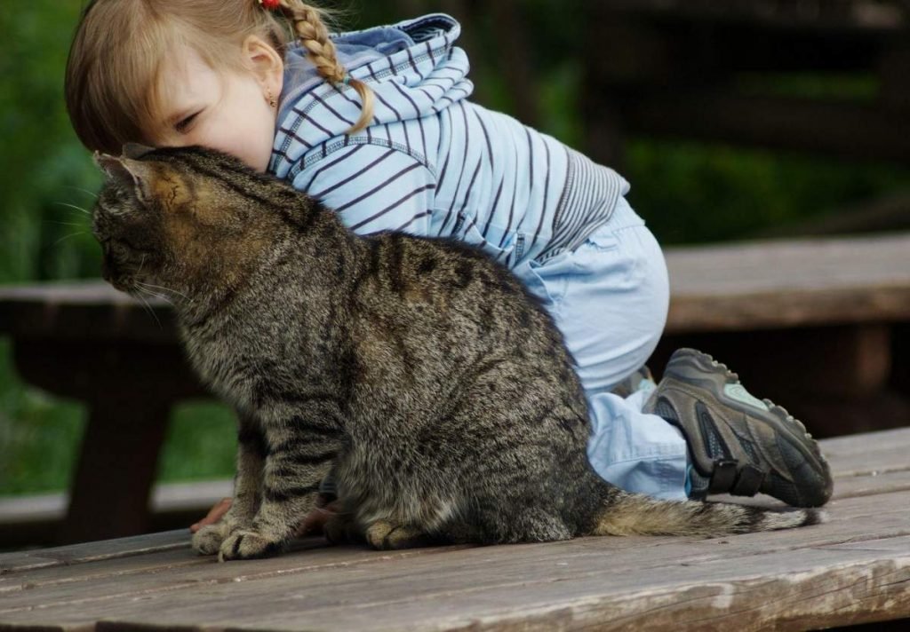 Дайте понять кошке, что ребенок не враг, а друг.