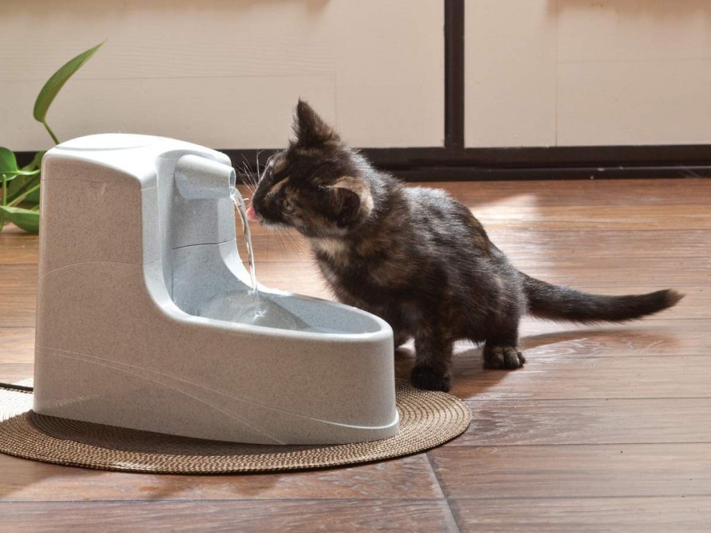 Автоматический поильник для кошек и котов.