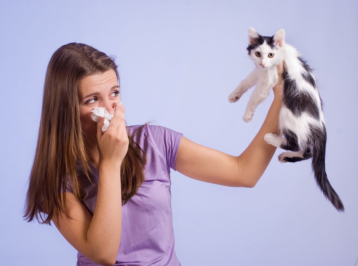 У ребенка аллергия на кошек