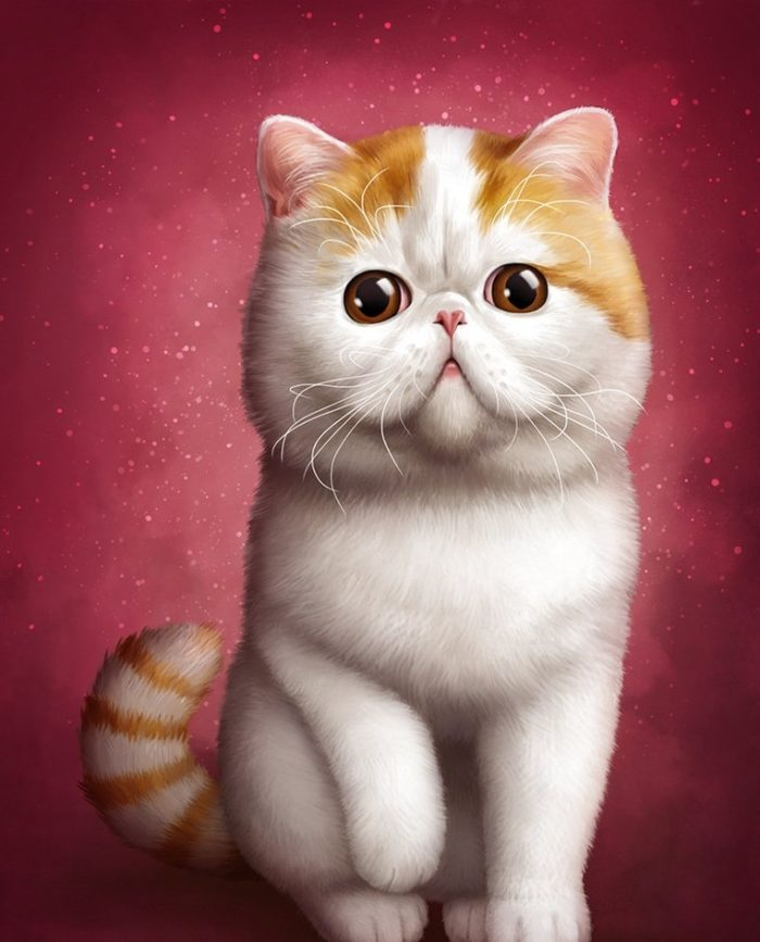 Японский кот Снупи – звезда интернета.