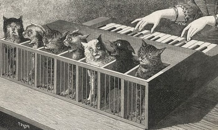 Кошачий клавесин – ужас из прошлого.
