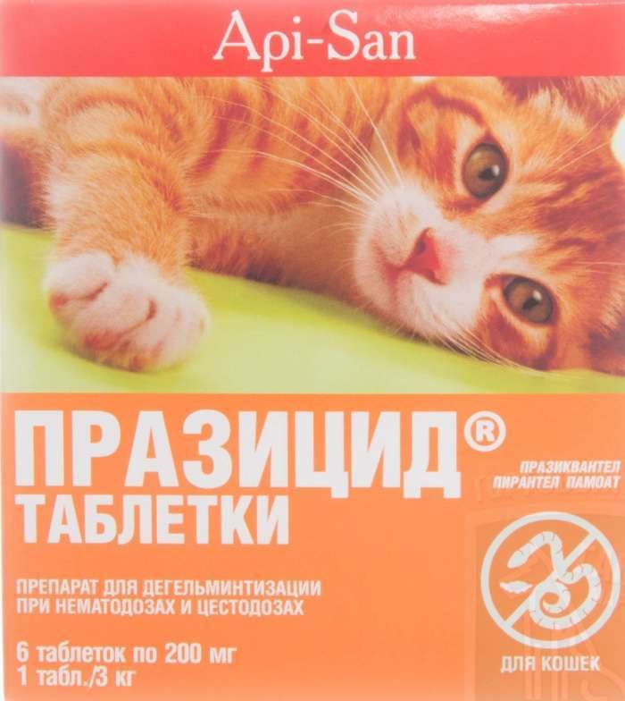 Таблетки «Празицид» – одно из лучших средств от глистов для кошек и котят.